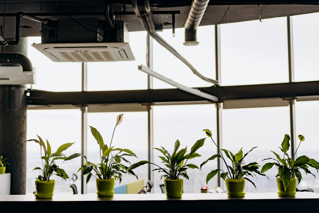 Indoor Air Quality Improvement Services